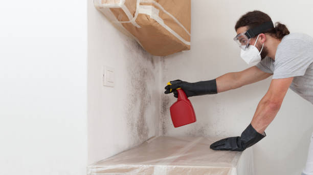 Professional Crawl Space Mold Remediation technician working in Denton, NC