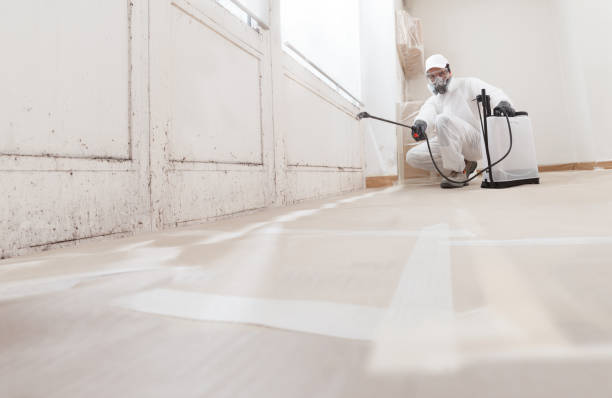 24/7 Emergency Crawl Space Mold Remediation experts in Denton, NC