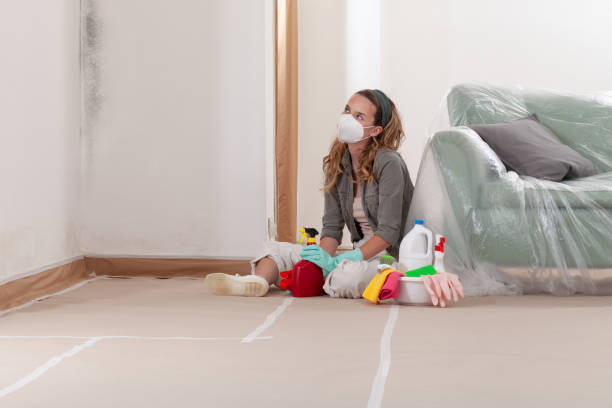 Reliable Crawl Space Mold Remediation contractor in Denton, NC by 24 Hour Mold Removal